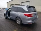 2019 Honda Odyssey EXL