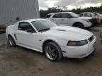 2000 Ford Mustang GT