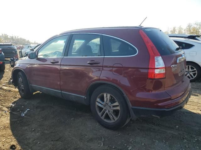 2010 Honda CR-V EXL