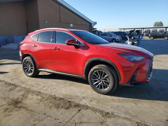 2023 Lexus NX 350H