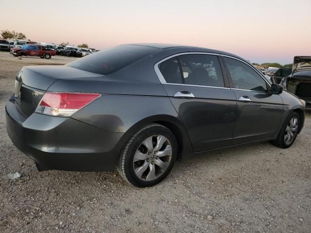 2010 Honda Accord EX