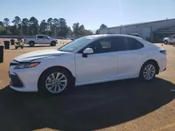 Salvage cars for sale at Longview, TX auction: 2024 Toyota Camry LE