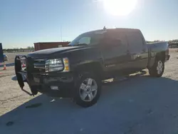 Salvage cars for sale at Arcadia, FL auction: 2008 Chevrolet Silverado K1500