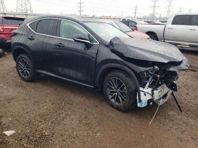 2024 Lexus NX 350 Base