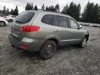 2009 Hyundai Santa FE SE