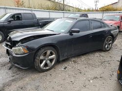 Salvage cars for sale at Lexington, KY auction: 2011 Dodge Charger