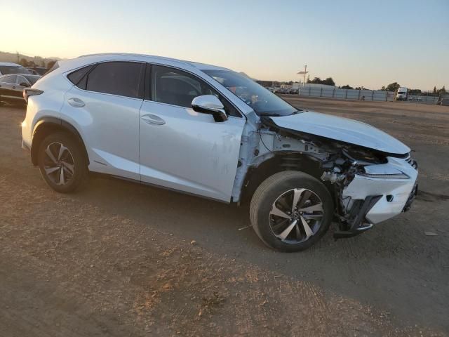 2020 Lexus NX 300H