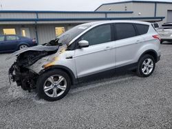 2014 Ford Escape SE en venta en Earlington, KY