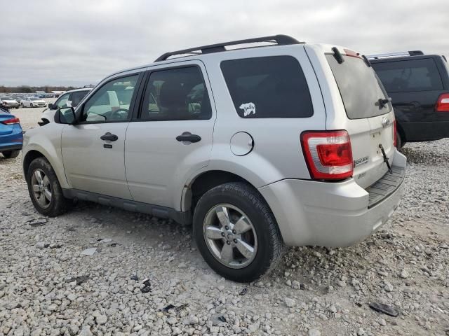 2009 Ford Escape XLT