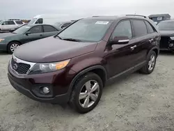 KIA salvage cars for sale: 2013 KIA Sorento EX