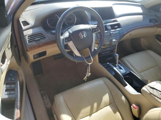 2009 Honda Accord EXL