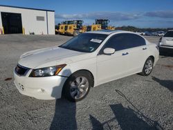 Honda salvage cars for sale: 2009 Honda Accord EXL