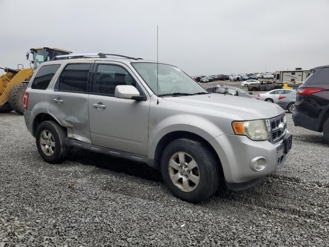 2010 Ford Escape Limited