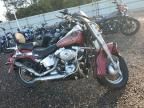 2005 Harley-Davidson Flstci