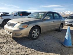 Toyota salvage cars for sale: 2001 Toyota Avalon XL