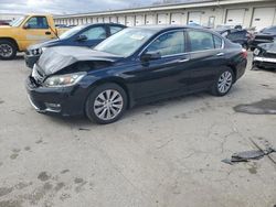 Salvage cars for sale at Louisville, KY auction: 2013 Honda Accord EXL