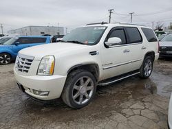 Cadillac Escalade salvage cars for sale: 2007 Cadillac Escalade Luxury