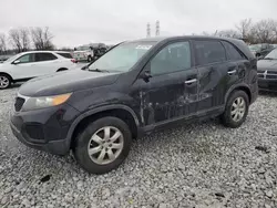 2011 KIA Sorento Base en venta en Barberton, OH