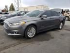 2013 Ford Fusion SE Hybrid