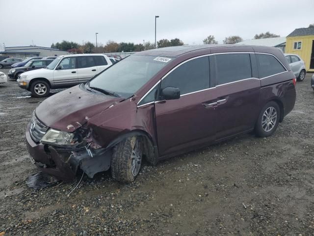 2013 Honda Odyssey EXL