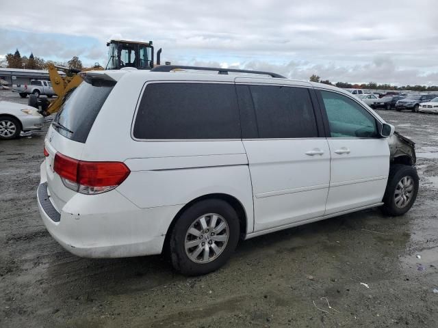 2010 Honda Odyssey EXL