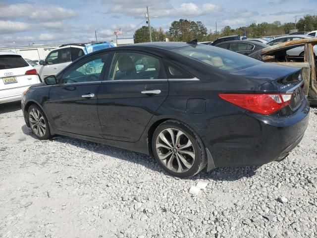 2013 Hyundai Sonata SE