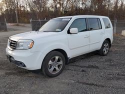 Honda Pilot Vehiculos salvage en venta: 2012 Honda Pilot EXL