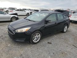 Vehiculos salvage en venta de Copart Earlington, KY: 2016 Ford Focus SE