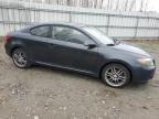 2007 Scion TC