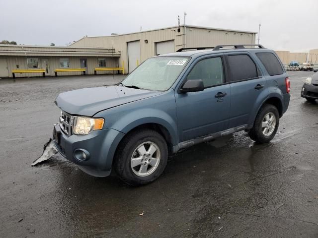 2011 Ford Escape XLT