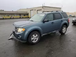 Carros salvage sin ofertas aún a la venta en subasta: 2011 Ford Escape XLT