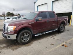 Ford Vehiculos salvage en venta: 2010 Ford F150 Supercrew