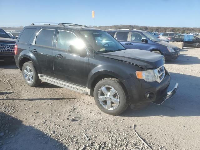 2010 Ford Escape Limited