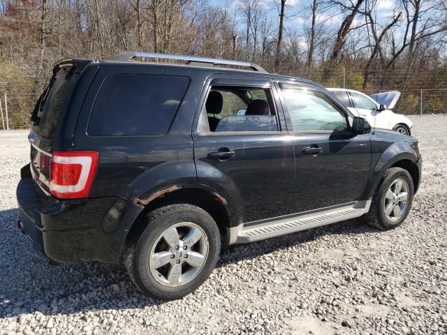 2010 Ford Escape Limited