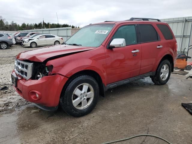 2011 Ford Escape XLT