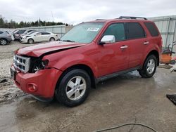 2011 Ford Escape XLT en venta en Franklin, WI