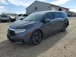 2022 Honda Odyssey Elite en venta en Columbia, MO