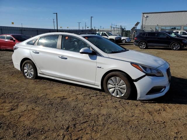 2016 Hyundai Sonata Hybrid