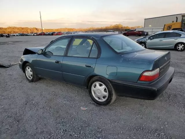 1995 Toyota Corolla LE