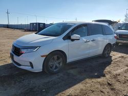 Salvage cars for sale at Greenwood, NE auction: 2021 Honda Odyssey EX