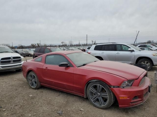 2013 Ford Mustang