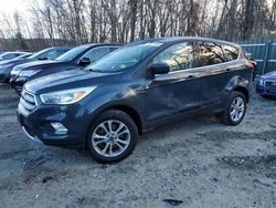 Salvage cars for sale at Candia, NH auction: 2019 Ford Escape SE