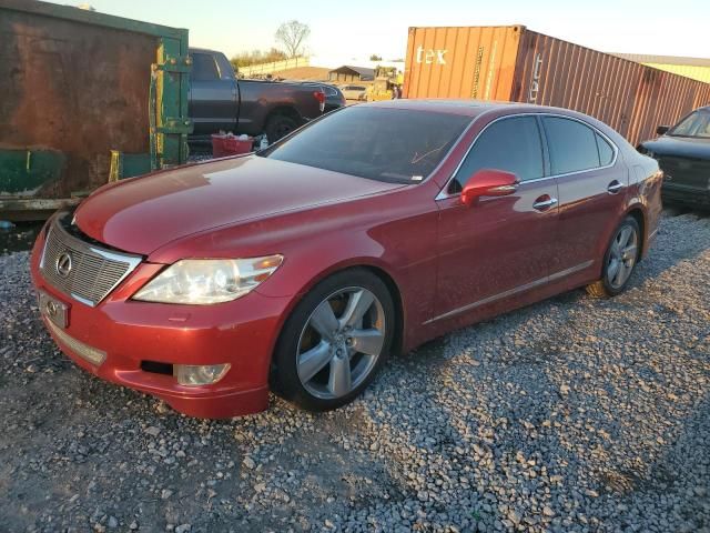 2010 Lexus LS 460