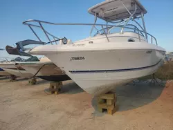 2006 Pro-Line Boat en venta en Riverview, FL