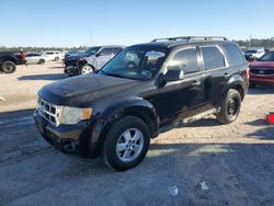 Salvage cars for sale at Houston, TX auction: 2012 Ford Escape XLS