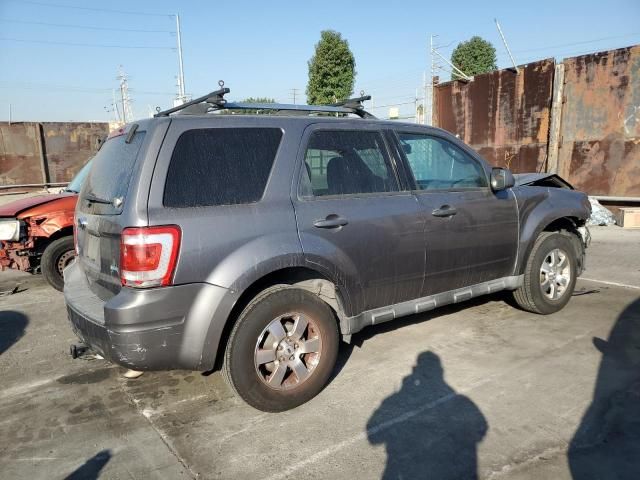 2010 Ford Escape Limited