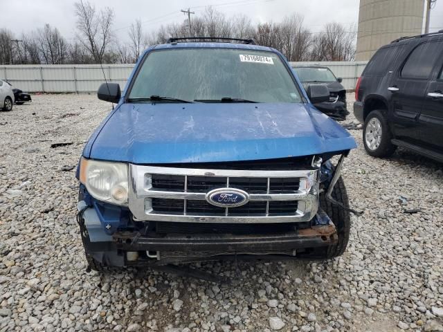 2011 Ford Escape XLT