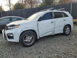 Salvage cars for sale at Waldorf, MD auction: 2012 KIA Sorento SX