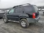 2004 Nissan Xterra XE