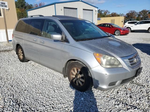 2010 Honda Odyssey EXL